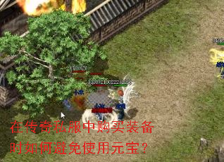 在传奇私服中购买装备时如何避免使用元宝? 在传奇私服中购买装备时如何避免使用元宝?