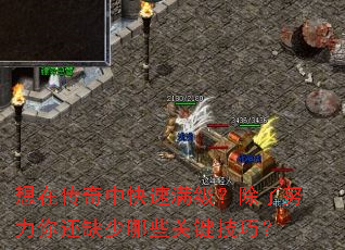 想在传奇中快速满级?除了努力你还缺少哪些关键技巧? 想在传奇中快速满级?除了努力你还缺少哪些关键技巧?