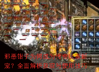 邪恶钳子为何成为传奇玩家新宠?全面解析获取与使用技巧 邪恶钳子为何成为传奇玩家新宠?全面解析获取与使用技巧