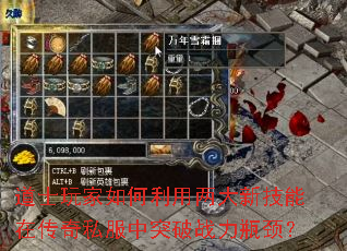 道士玩家如何利用两大新技能在传奇私服中突破战力瓶颈? 道士玩家如何利用两大新技能在传奇私服中突破战力瓶颈?