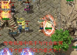 传奇私服中高手与行会如何协作才能实现战力最大化? 传奇私服中高手与行会如何协作才能实现战力最大化?