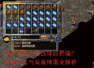 新手前期为何选择白野猪?高效打法与装备掉落全解析 新手前期为何选择白野猪?高效打法与装备掉落全解析