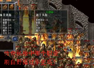 传奇私服中哪个职业刷白野猪效率更高? 传奇私服中哪个职业刷白野猪效率更高?