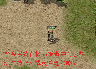 帮会系统在极品传奇中有哪些玩法技巧和成员管理策略? 帮会系统在极品传奇中有哪些玩法技巧和成员管理策略?