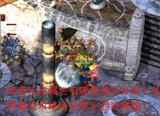 传奇玩家属性有哪些独特之处?如何通过攻略解决常见游戏难题? 传奇玩家属性有哪些独特之处?如何通过攻略解决常见游戏难题?