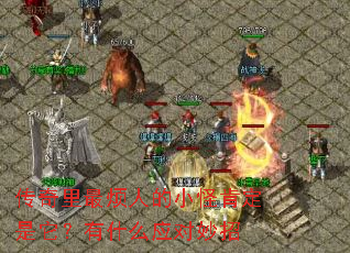 传奇里最烦人的小怪肯定是它?有什么应对妙招 传奇里最烦人的小怪肯定是它?有什么应对妙招