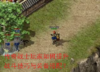 传奇战士玩家如何提升战斗技巧与装备搭配? 传奇战士玩家如何提升战斗技巧与装备搭配?