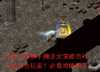 传奇私服新手赠送元宝能否转让给其他玩家?必看攻略解答 传奇私服新手赠送元宝能否转让给其他玩家?必看攻略解答