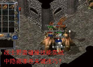 战士野蛮碰撞技能实战中隐藏哪些关键技巧? 战士野蛮碰撞技能实战中隐藏哪些关键技巧?