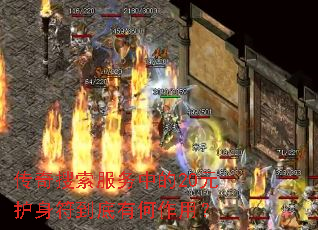 传奇搜索服务中的20元护身符到底有何作用? 传奇搜索服务中的20元护身符到底有何作用?