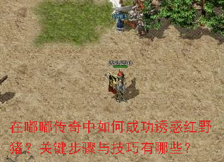 在嘟嘟传奇中如何成功诱惑红野猪?关键步骤与技巧有哪些? 在嘟嘟传奇中如何成功诱惑红野猪?关键步骤与技巧有哪些?