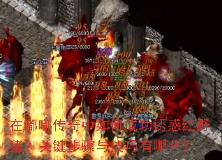 在嘟嘟传奇中如何成功诱惑红野猪?关键步骤与技巧有哪些? 在嘟嘟传奇中如何成功诱惑红野猪?关键步骤与技巧有哪些?