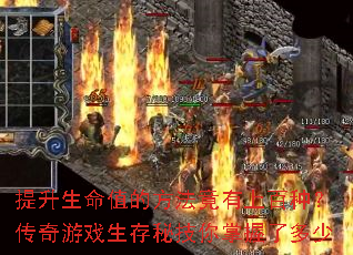 提升生命值的方法竟有上百种?传奇游戏生存秘技你掌握了多少 提升生命值的方法竟有上百种?传奇游戏生存秘技你掌握了多少
