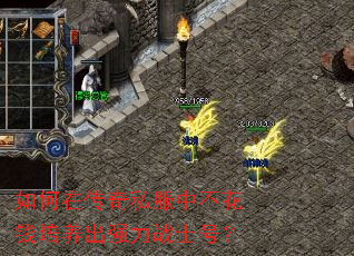 如何在传奇私服中不花钱培养出强力战士号? 如何在传奇私服中不花钱培养出强力战士号?