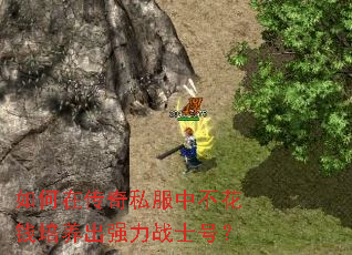 如何在传奇私服中不花钱培养出强力战士号? 如何在传奇私服中不花钱培养出强力战士号?