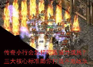 传奇小行会怎样筛选强力成员?三大核心标准助你打造不败战队 传奇小行会怎样筛选强力成员?三大核心标准助你打造不败战队