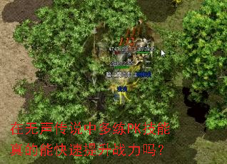 在无声传说中多练PK技能真的能快速提升战力吗? 在无声传说中多练PK技能真的能快速提升战力吗?