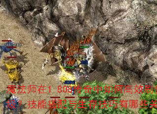 魔法师在1.808传奇中如何高效刷怪升级?技能搭配与生存技巧有哪些关键点? 魔法师在1.808传奇中如何高效刷怪升级?技能搭配与生存技巧有哪些关键点?