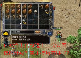 1.95合击传奇道士宝宝如何快速升级?实用技巧有哪些? 1.95合击传奇道士宝宝如何快速升级?实用技巧有哪些?