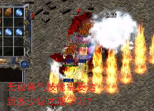 无极真气技能需要达到多少级才能学习? 无极真气技能需要达到多少级才能学习?