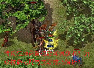 传奇法师高阶技能如何获取?顶级技能搭配与实战技巧解析? 传奇法师高阶技能如何获取?顶级技能搭配与实战技巧解析?