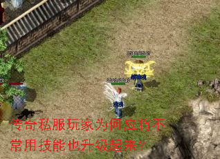 传奇私服玩家为何应将不常用技能也升级起来? 传奇私服玩家为何应将不常用技能也升级起来?