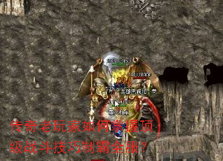 传奇老玩家如何掌握顶级战斗技巧制霸全服? 传奇老玩家如何掌握顶级战斗技巧制霸全服?