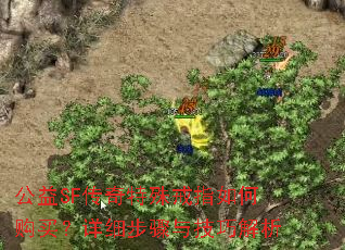 公益SF传奇特殊戒指如何购买?详细步骤与技巧解析 公益SF传奇特殊戒指如何购买?详细步骤与技巧解析