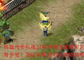 热血传奇私服召唤神兽技能爆率究竟有多低?顶级神兽获取全攻略解析 热血传奇私服召唤神兽技能爆率究竟有多低?顶级神兽获取全攻略解析