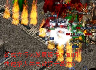 新成立行会发展缓慢?如何快速招人并高效提升战力? 新成立行会发展缓慢?如何快速招人并高效提升战力?