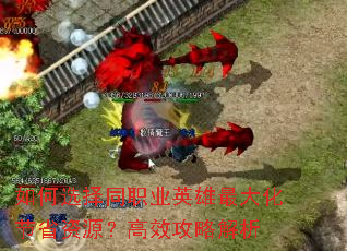 如何选择同职业英雄最大化节省资源?高效攻略解析 如何选择同职业英雄最大化节省资源?高效攻略解析
