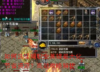 如何选择同职业英雄最大化节省资源?高效攻略解析 如何选择同职业英雄最大化节省资源?高效攻略解析