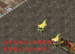 传奇私服道士换地图后为何需要立即召唤宝宝? 传奇私服道士换地图后为何需要立即召唤宝宝?