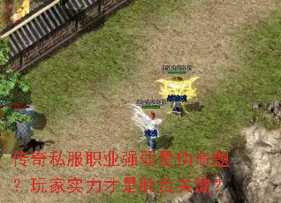 传奇私服职业强弱是伪命题?玩家实力才是胜负关键? 传奇私服职业强弱是伪命题?玩家实力才是胜负关键?
