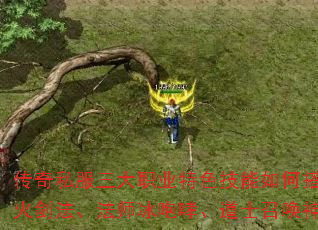 传奇私服三大职业特色技能如何搭配?战士烈火剑法、法师冰咆哮、道士召唤神兽全解析 传奇私服三大职业特色技能如何搭配?战士烈火剑法、法师冰咆哮、道士召唤神兽全解析