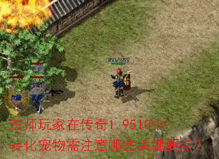 法师玩家在传奇1.9510中转化宠物需注意哪些关键要点? 法师玩家在传奇1.9510中转化宠物需注意哪些关键要点?
