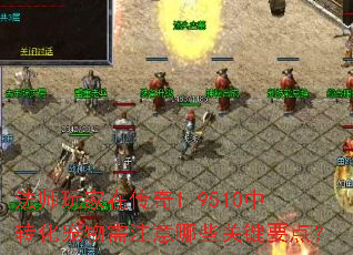 法师玩家在传奇1.9510中转化宠物需注意哪些关键要点? 法师玩家在传奇1.9510中转化宠物需注意哪些关键要点?