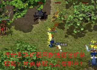 传奇黑铁矿石只能通过挖矿获取吗?其他获取方式有哪些? 传奇黑铁矿石只能通过挖矿获取吗?其他获取方式有哪些?