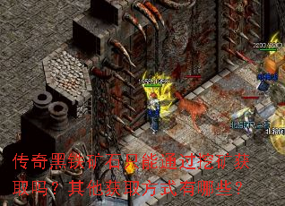 传奇黑铁矿石只能通过挖矿获取吗?其他获取方式有哪些? 传奇黑铁矿石只能通过挖矿获取吗?其他获取方式有哪些?