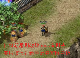 传奇新服刷战地boss有哪些实用技巧?新手必看攻略解析 传奇新服刷战地boss有哪些实用技巧?新手必看攻略解析