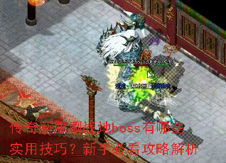 传奇新服刷战地boss有哪些实用技巧?新手必看攻略解析 传奇新服刷战地boss有哪些实用技巧?新手必看攻略解析