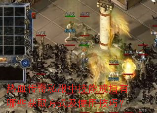 Ѫ˽мָܽЩȡʽʹüɣ