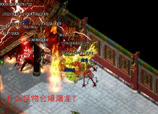 什么怪物会爆屠龙? 什么怪物会爆屠龙?