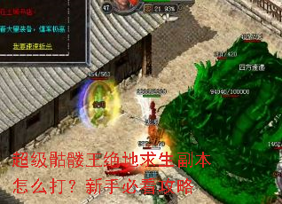 超级骷髅王绝地求生副本怎么打?新手必看攻略 超级骷髅王绝地求生副本怎么打?新手必看攻略