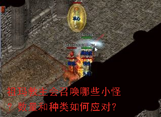 ����������ٻ���ЩС�֣��������������Ӧ�ԣ�