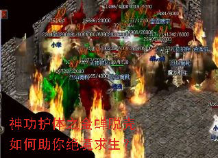 神功护体之金蝉脱壳如何助你绝境求生? 神功护体之金蝉脱壳如何助你绝境求生?