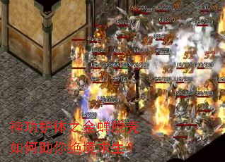 神功护体之金蝉脱壳如何助你绝境求生? 神功护体之金蝉脱壳如何助你绝境求生?