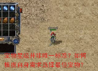 宠物星级并非唯一标准?如何根据自身需求选择最佳宠物? 宠物星级并非唯一标准?如何根据自身需求选择最佳宠物?