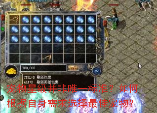 宠物星级并非唯一标准?如何根据自身需求选择最佳宠物? 宠物星级并非唯一标准?如何根据自身需求选择最佳宠物?