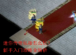 迷你传奇私服怎么玩?新手入门攻略全解析 迷你传奇私服怎么玩?新手入门攻略全解析